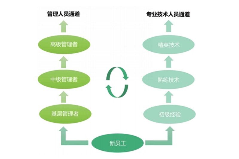 清晰的“双向”职业发展通道